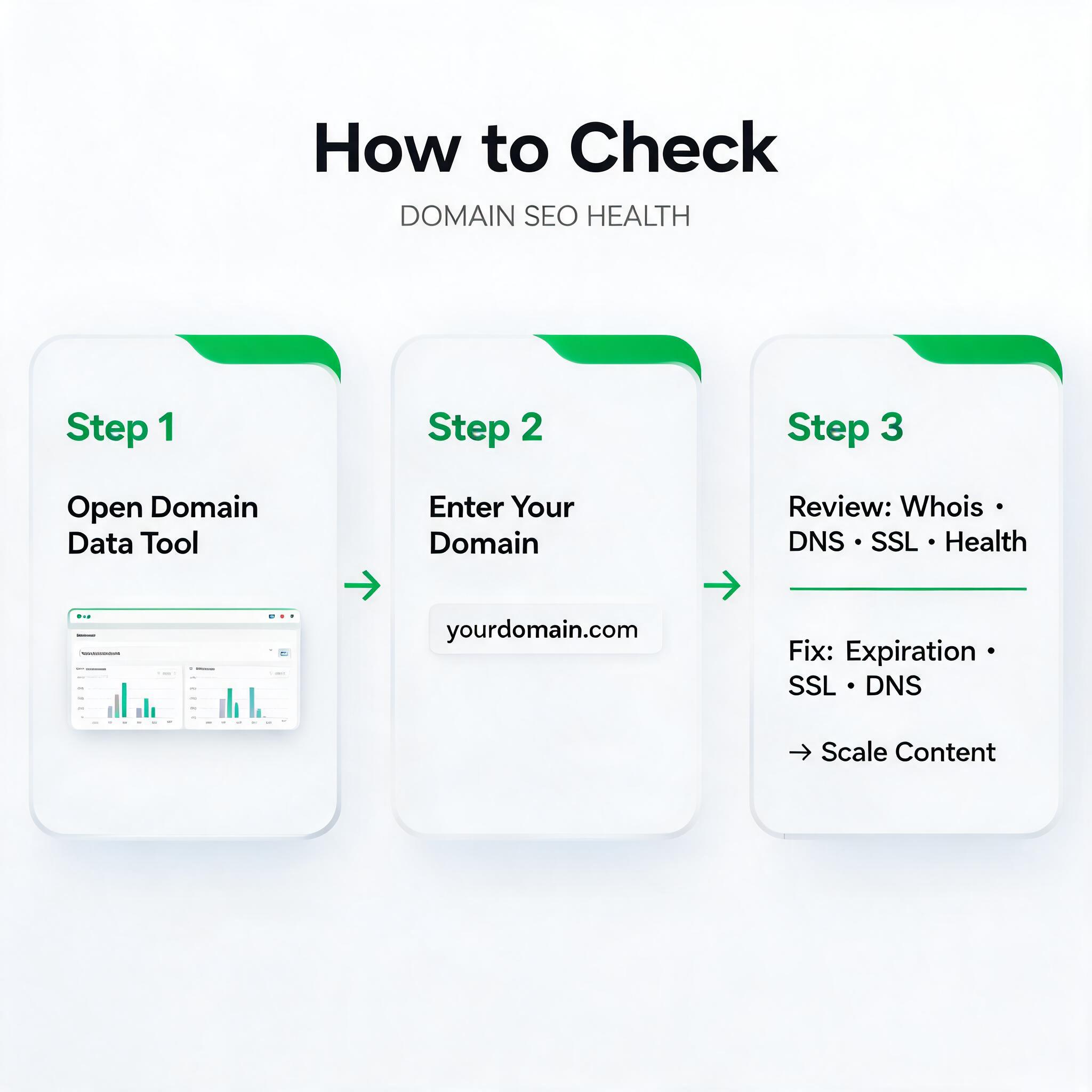 Domain SEO Basics checking workflow